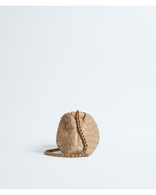 Bottega Veneta Natural Dustbag Notte