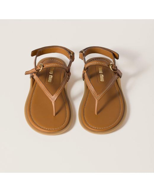 Miu Miu Brown Flat Thong Sandals
