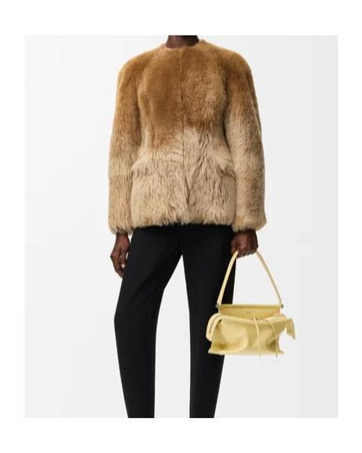 Loewe Brown Jacket