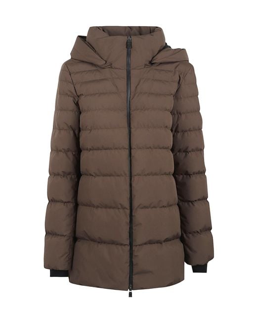 Herno Brown Hooded Padded Jacket