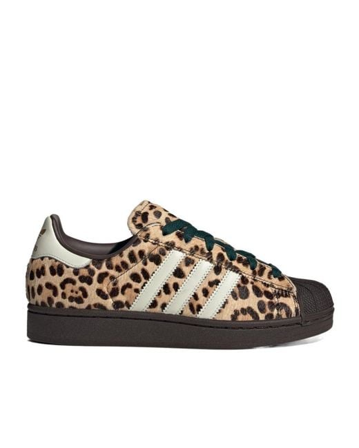 Adidas Originals Brown Leopard Lace Up Sneakers