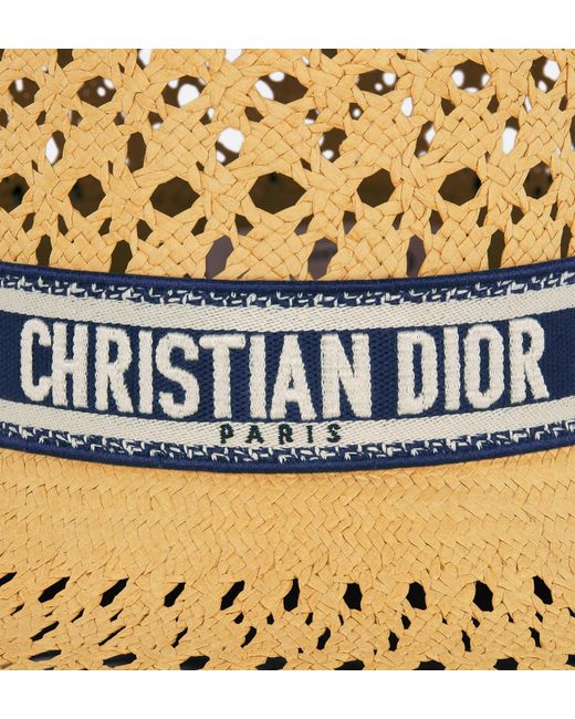 Dior Metallic Iviera Naughtily-D Large Brim Hat