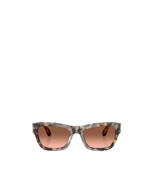 Persol Multicolor Rectangle-Frame Sunglasses for men