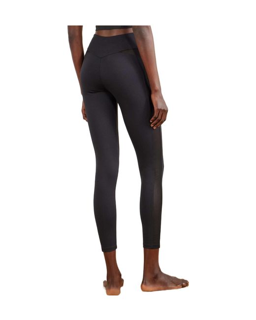 Eres Blue Trimmed Stretch-Jersey Leggings