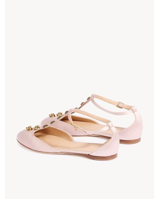 Chloé Pink Chloé Celeste Ballerinas