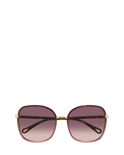 Chloé Purple Sunglasses