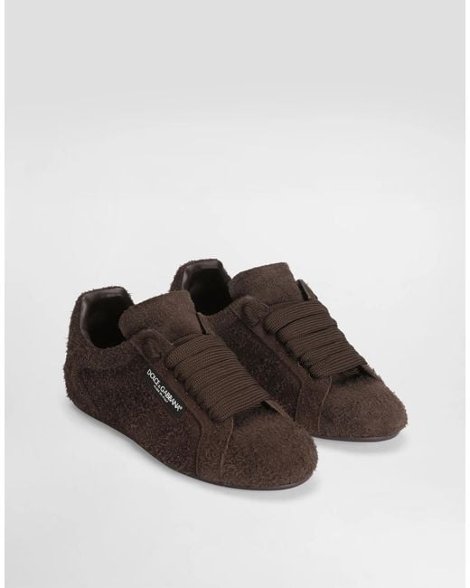 Dolce & Gabbana Brown Portofino Merinos Low-Top Sneakers for men