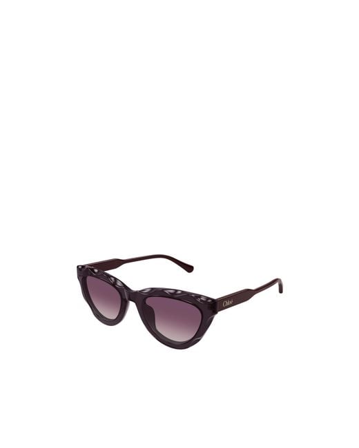 Chloé Purple Chloé Eyewear Cat-Eye Frame Sunglasses
