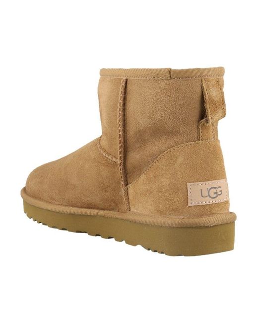 Ugg Brown Classic Mini Ii Boots