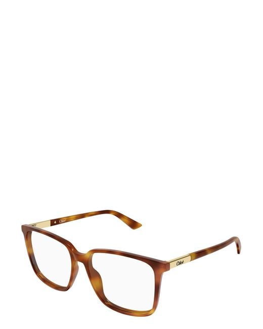 Chloé Brown Chloé Eyewear Square Frame Glasses