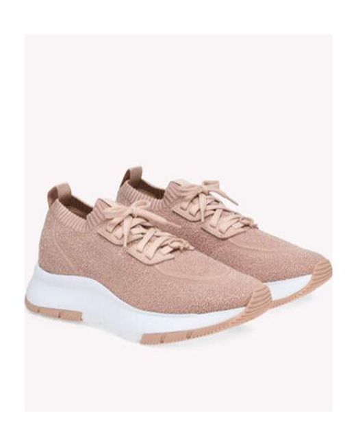 Gianvito Rossi Pink Lace Up Sneakers