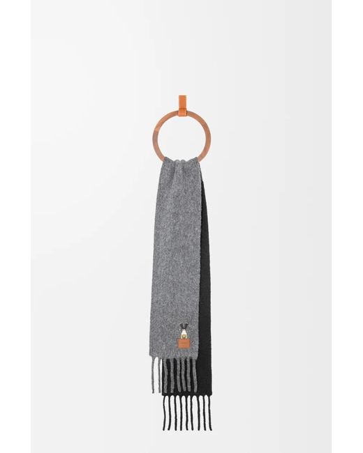 Loewe Multicolor Acrobat Embroidered Fringed Scarf for men