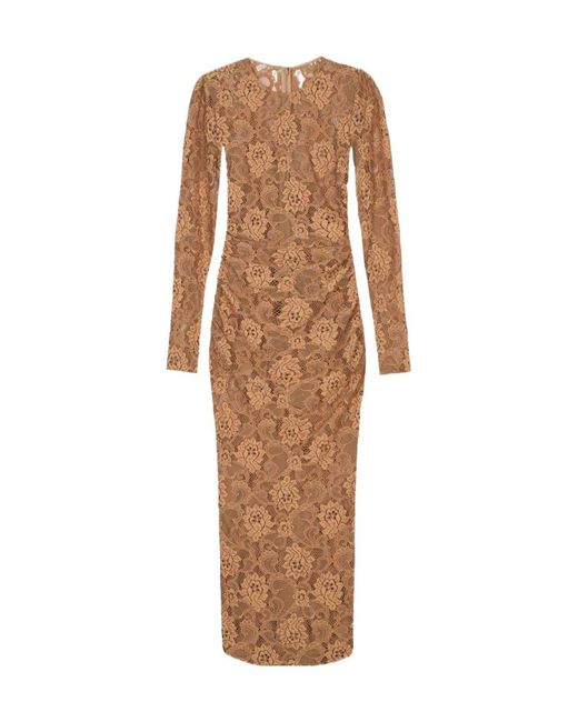 Dolce & Gabbana Brown Chantilly-Lace Crewneck Midi Dress