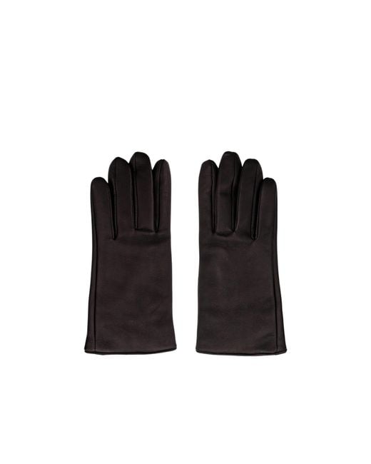 Saint Laurent Black Logo Plaque Gloves