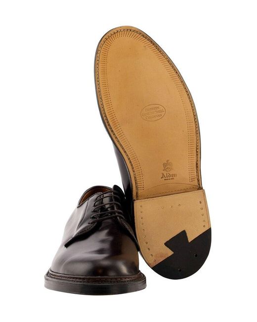 Alden Brown Plain Toe Derby Shoes for men