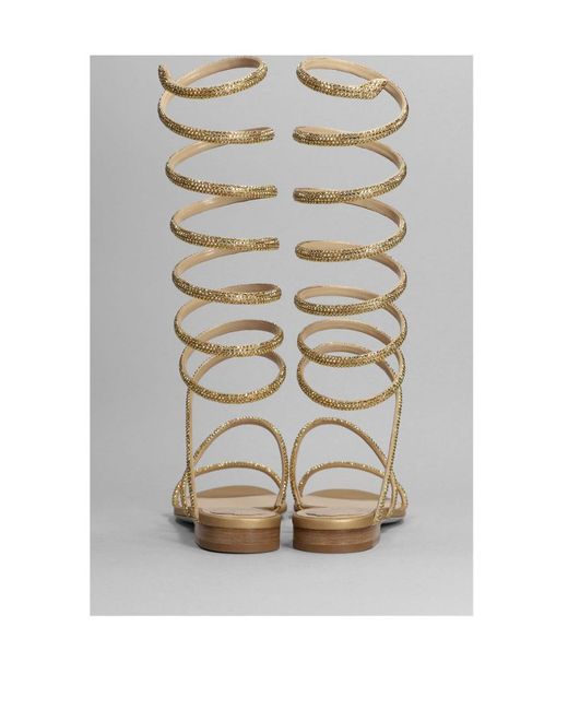 Rene Caovilla Metallic René Caovilla Supercleo Embellished Flat Sandals