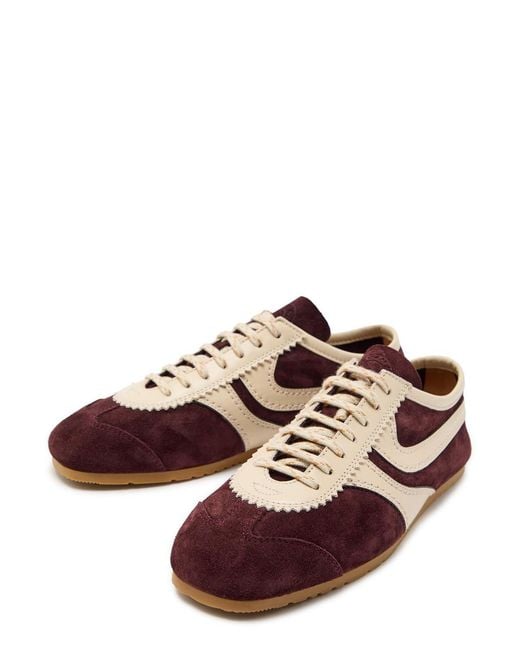 Dries Van Noten Brown Dustin Panelled Suede Sneakers