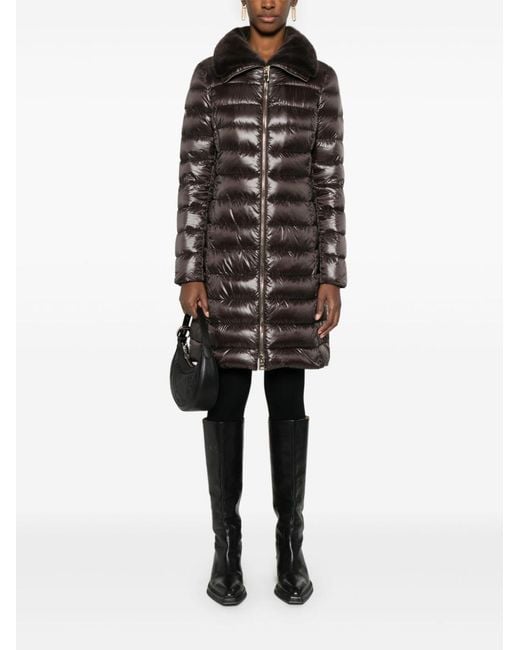 Herno Black Coats