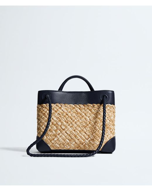 Bottega Veneta Metallic Small Andiamo