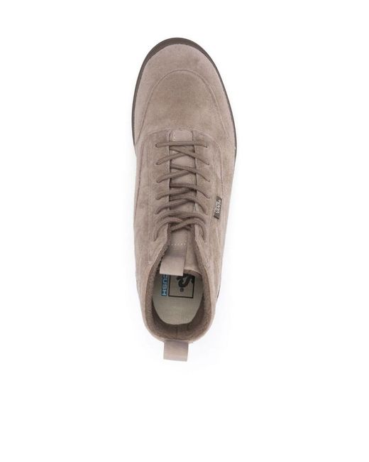 Vans Brown Logo Lace-Up Shoes for men
