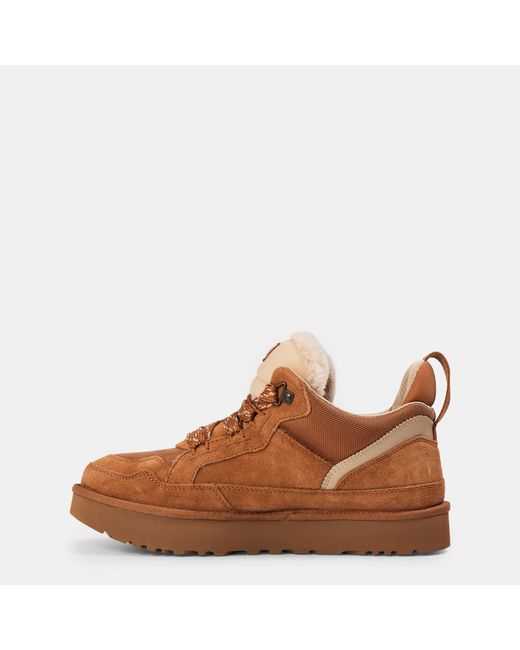 Ugg Brown Low-Top Sneakers for men