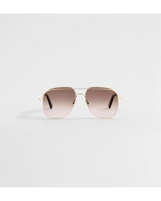 Dior Metallic Petit Cd A1U