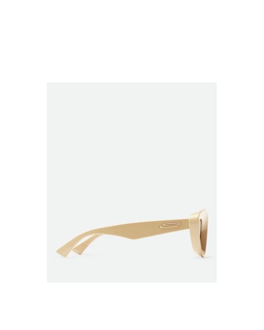 Bottega Veneta Multicolor Sharp Cat Eye Sunglasses