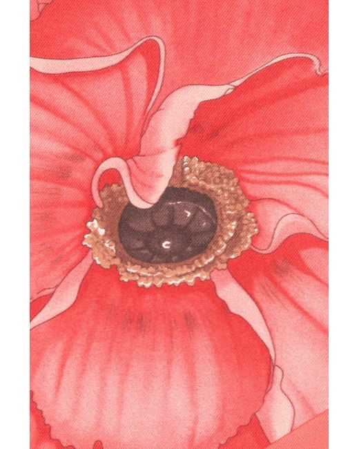 Ferragamo Pink Ferragamo Floral Printed Scarf