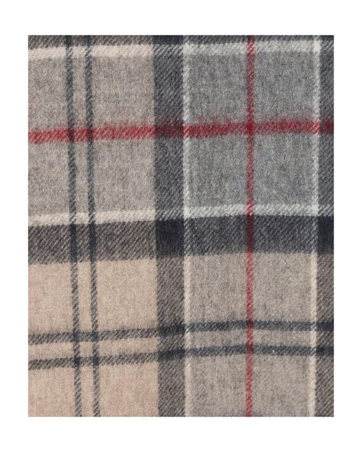 Barbour White Tartan Tassel Scarf for men