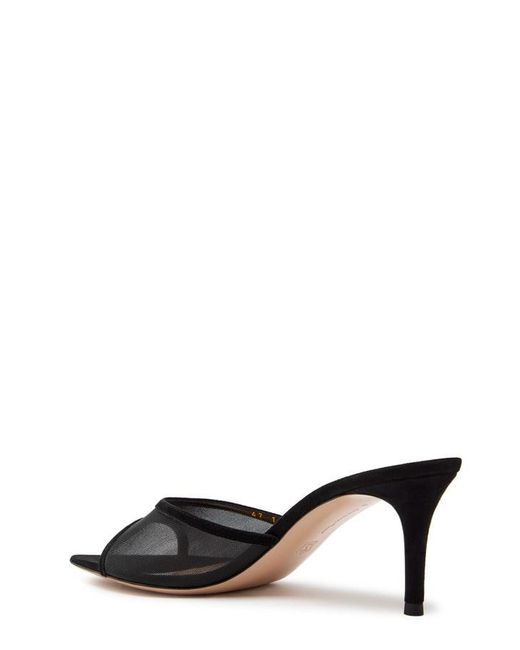 Gianvito Rossi Black Sienna 70 Suede Mules