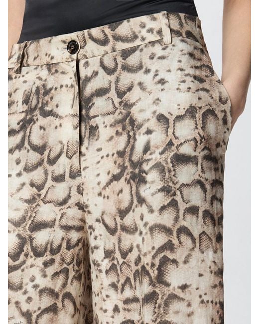 Pinko Multicolor Snake-Print Shorts