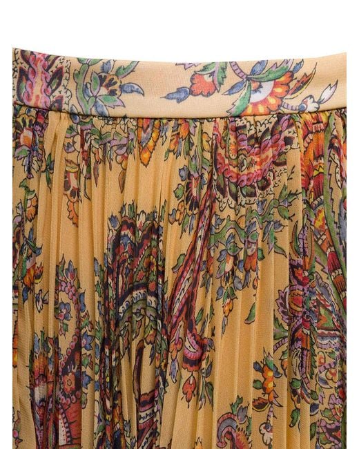 Etro Brown Maxi Pleated Skirt With All-Over Paisley Print