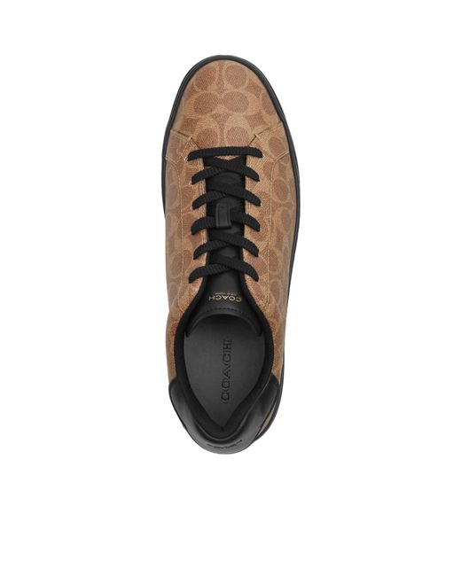 COACH Brown High Line Sneakers for men