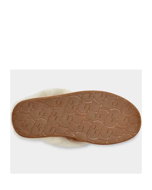Ugg Brown Round Head Slippers