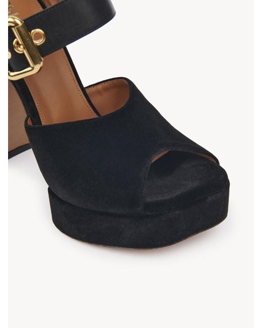 Chloé Black Chloé Aria Buckle Detailed Platform Sandals