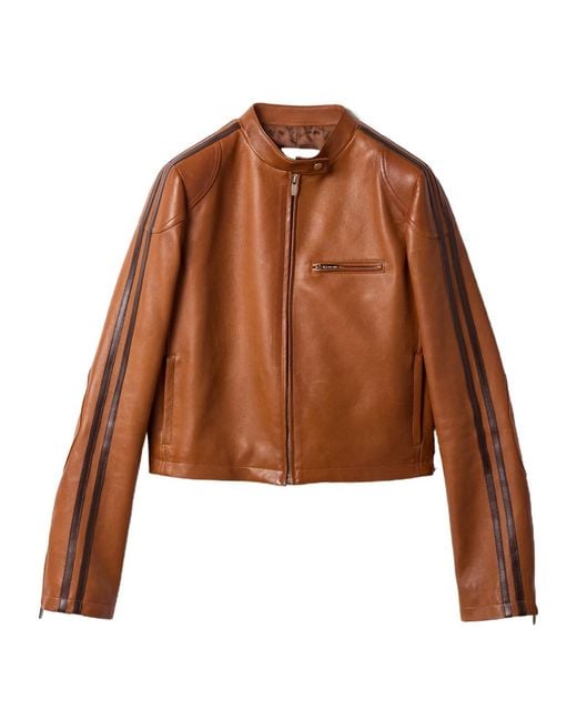 Miu Miu Brown Nappa Leather Jacket