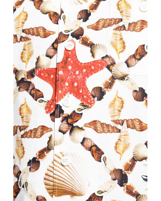 Dolce & Gabbana White Shell Printed Hawaii Poplin Shirt for men