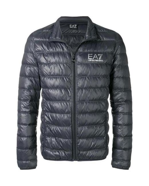 EA7 Blue Padded Zipped Jacket for men