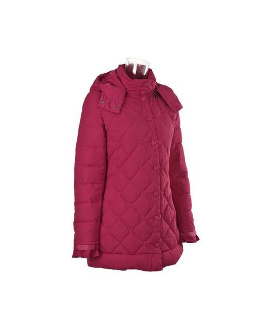 Armani Jeans Red Hooded Down Jacket
