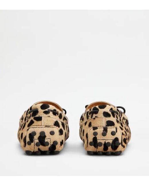 Tod's Multicolor Gommino Loafers