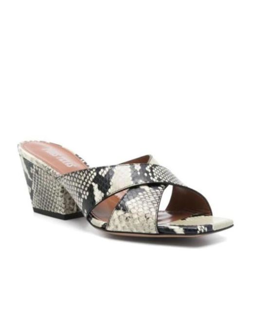 Paris Texas Multicolor Square Toe High-Heeled Sandals