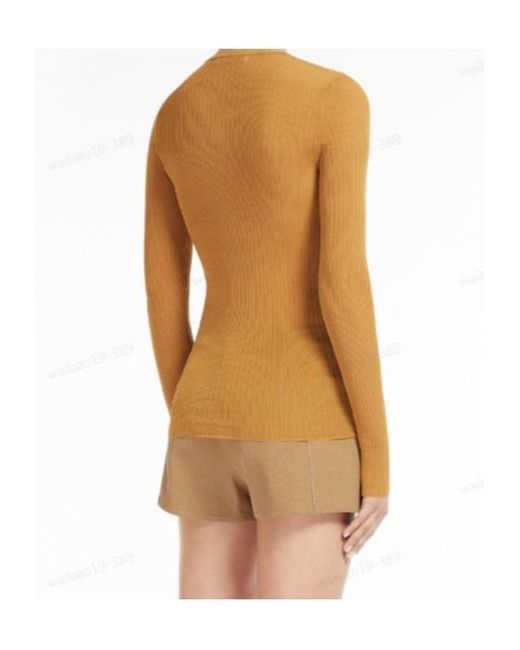 Max Mara Multicolor Saggina V-Neck Long-Sleeved Jumper