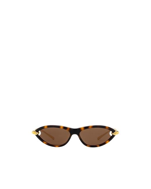 Bottega Veneta White Eyewear Cat-Eye Frame Sunglasses