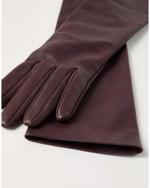 Brunello Cucinelli Purple Long Leather Gloves