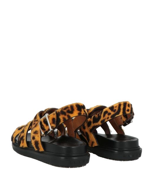 Marni Brown Leopard Print Casual Sandals