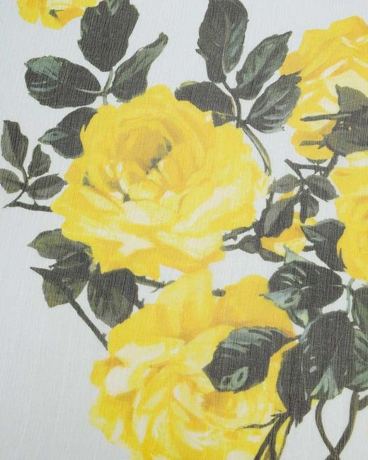 Dolce & Gabbana Yellow Printed Scarf