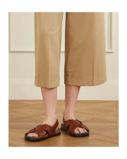 The Row Brown Buckle Flat Sandals