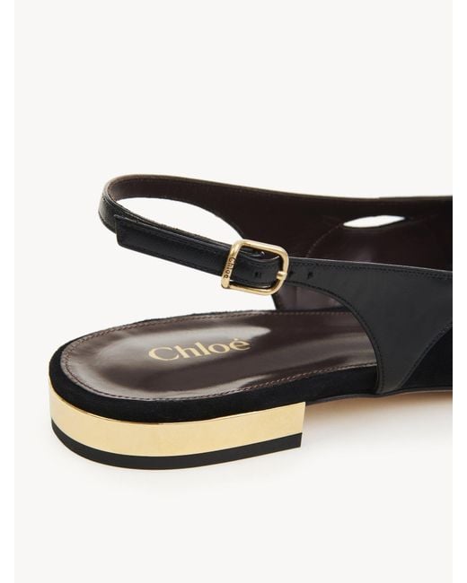 Chloé Multicolor Chloé Saada Slingback Flat Shoes