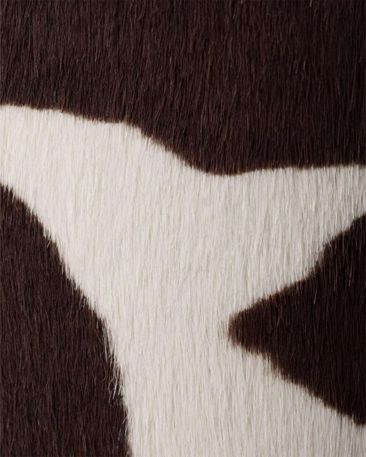 Prada Brown Pattern-Printed Mules