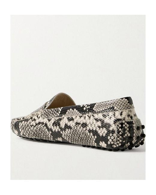 Tod's Multicolor Round Head Loafer Shoes